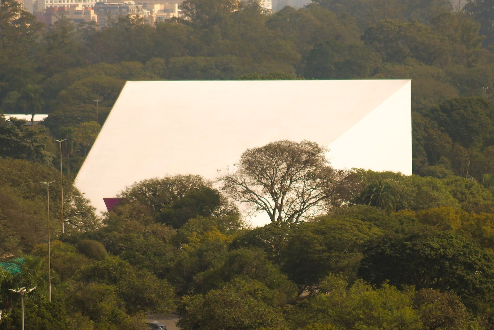 Auditório Ibirapuera, prédio branco de Niemeyer entre as árvores