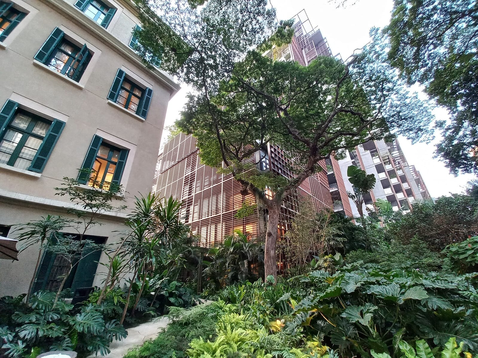 Jardim de Mata Atlântica entre os prédios históricos e a torre